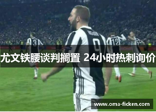 尤文铁腰谈判搁置 24小时热刺询价